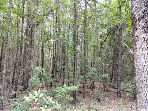 Tbd Powell Rd., Georgetown, SC 29440 photo 9