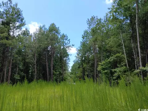 Tbd Powell Rd., Georgetown, SC 29440 photo 12