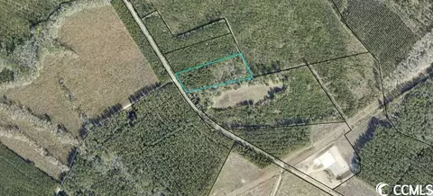 Tbd Powell Rd., Georgetown, SC 29440 photo 13