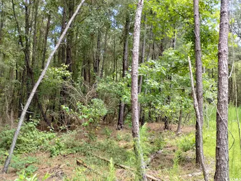 Tbd Powell Rd., Georgetown, SC 29440 photo 7