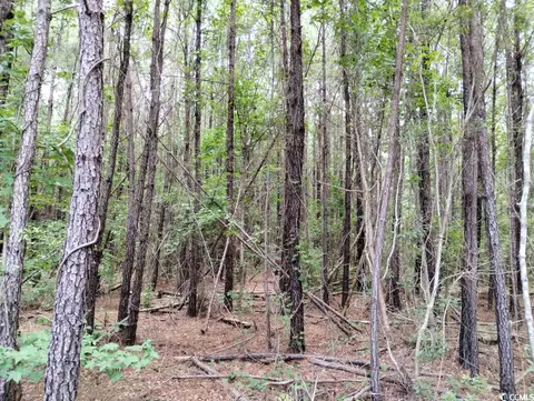 Tbd Powell Rd., Georgetown, SC 29440 photo 10