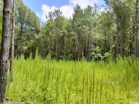 Tbd Powell Rd., Georgetown, SC 29440 photo 6