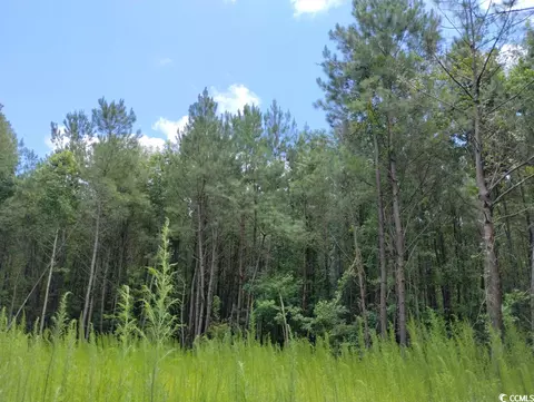Tbd Powell Rd., Georgetown, SC 29440 photo 11