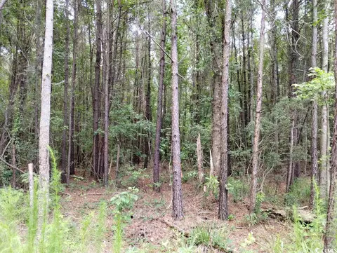 Tbd Powell Rd., Georgetown, SC 29440 photo 8