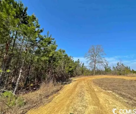Begley Stump Rd., Chesterfield, SC 29709