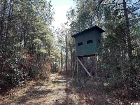 821 Lake City Hwy, Johnsonville, SC 29555