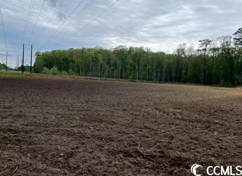 Tbd Mosdell Dr., Conway, SC 29527