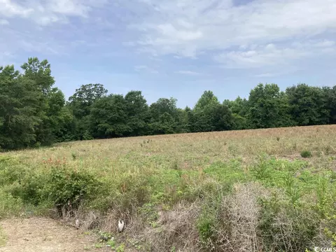 11 Vox Hwy, Johnsonville, SC 29555