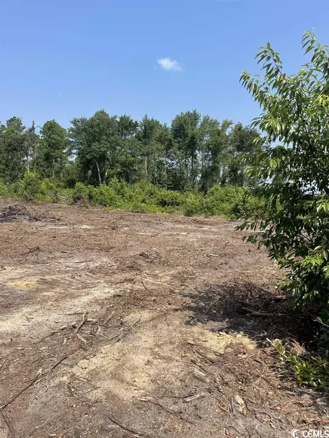 Tbd W Highway 19, Loris, SC 29569