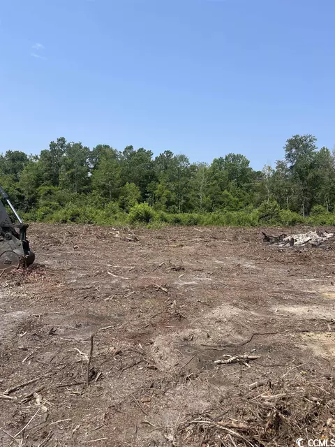 Tbd W Highway 19, Loris, SC 29569