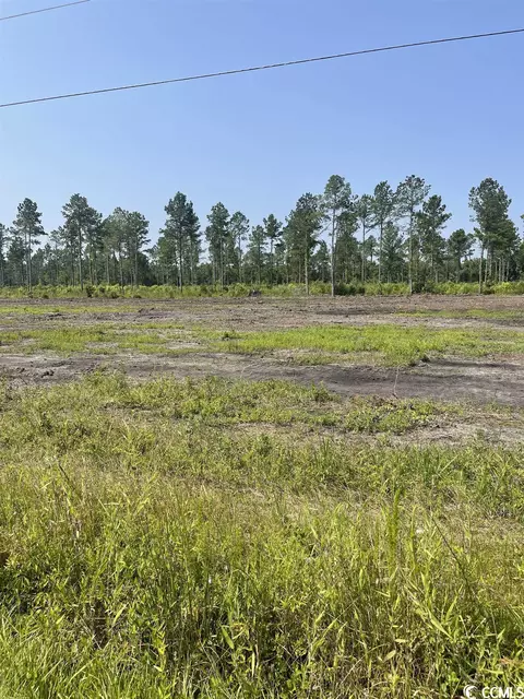 Tbd W Highway 19, Loris, SC 29569