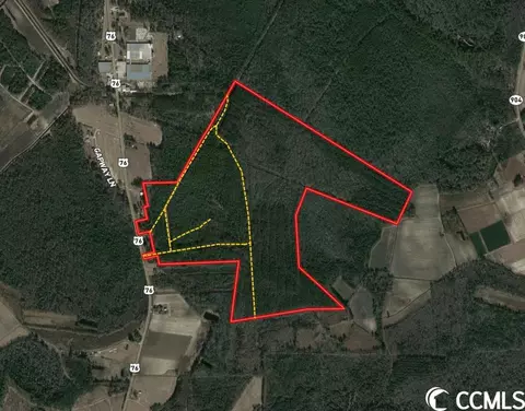 Tbd Andrew Jackson Hwy., Fairbluff, SC 28439