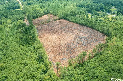Tbd Freemont Rd., Longs, SC 29568 photo 8