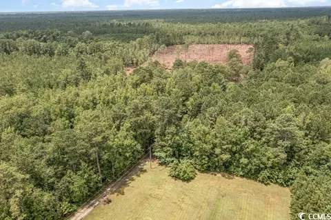 Tbd Freemont Rd., Longs, SC 29568 photo 11