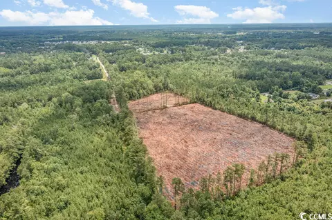 Tbd Freemont Rd., Longs, SC 29568 photo 9