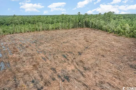 Tbd Freemont Rd., Longs, SC 29568 photo 7