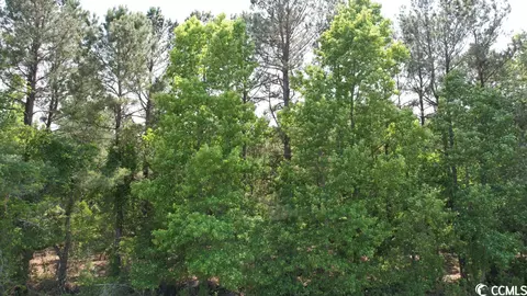 00 E Beulah Rd, Lake City, SC 29560