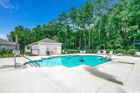 487 Carrick Loop, Longs, SC 29568 photo 28