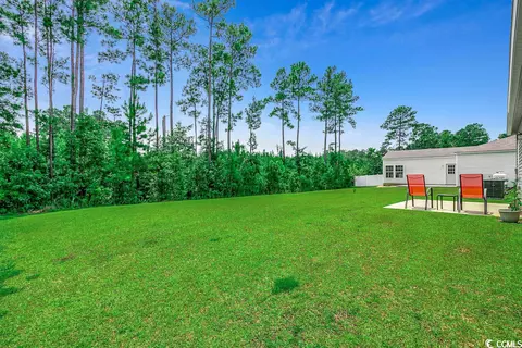 487 Carrick Loop, Longs, SC 29568 photo 21