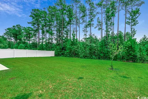 487 Carrick Loop, Longs, SC 29568 photo 24