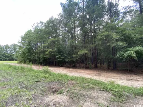 Wilbur Dunn Pl., Conway, SC 29526