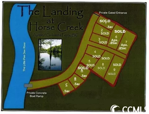 tbd Black Island Rd, Galivants Ferry, SC 29544