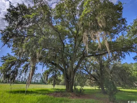 127 Redfin Loop, Georgetown, SC 29440 photo 36