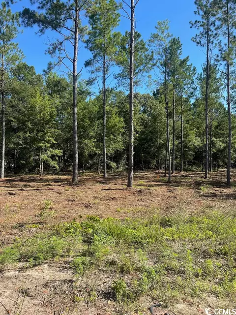 Tbd Coventry Rd., Nichols, SC 29581