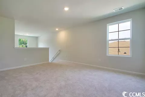 386 Fennec Loop, Conway, SC 29526 photo 15