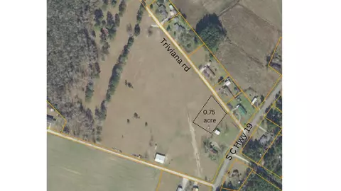 Tbd Traviana Rd., Conway, SC 29526