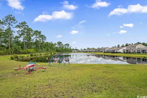 949 Wild Leaf Loop, Conway, SC 29526 photo 21
