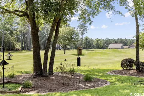 1100 Foxtail Dr, Longs, SC 29568 photo 32