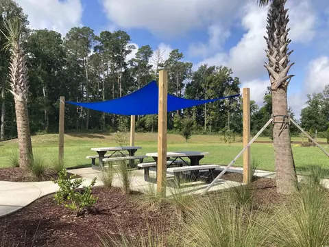 569 Honeyhill Loop, Conway, SC 29526 photo 8