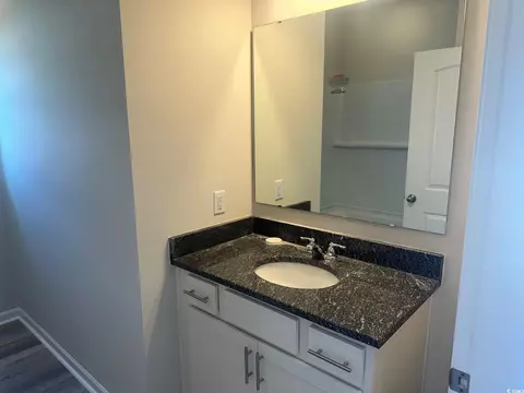 569 Honeyhill Loop, Conway, SC 29526 photo 5