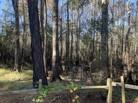 569 Honeyhill Loop, Conway, SC 29526 photo 26