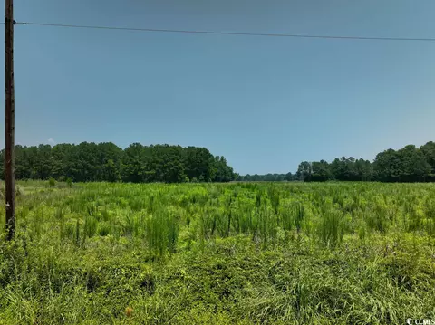 Tbt Sonny Rd., Gresham, SC 29546 photo 3
