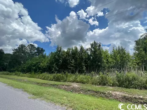 206 Morgan Rd, Loris, SC 29569