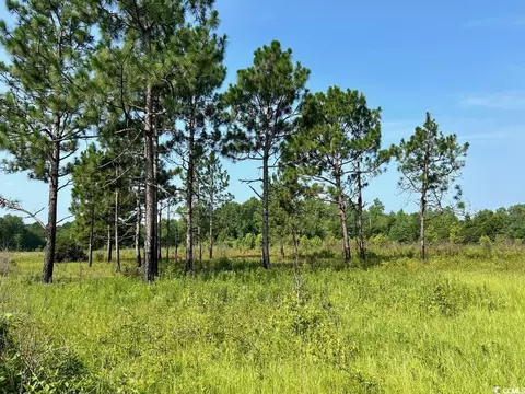 Highway 430, Nichols, SC 29581