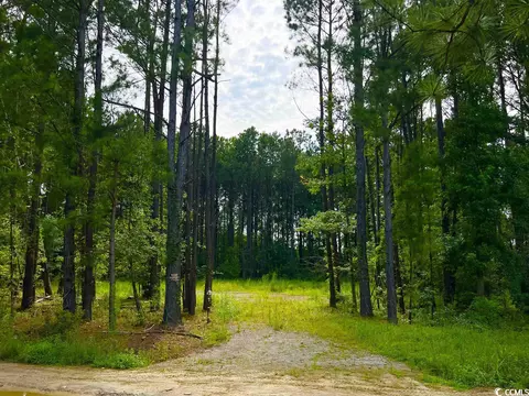 Tbd Kickapoo Dr., Green Sea, SC 29545