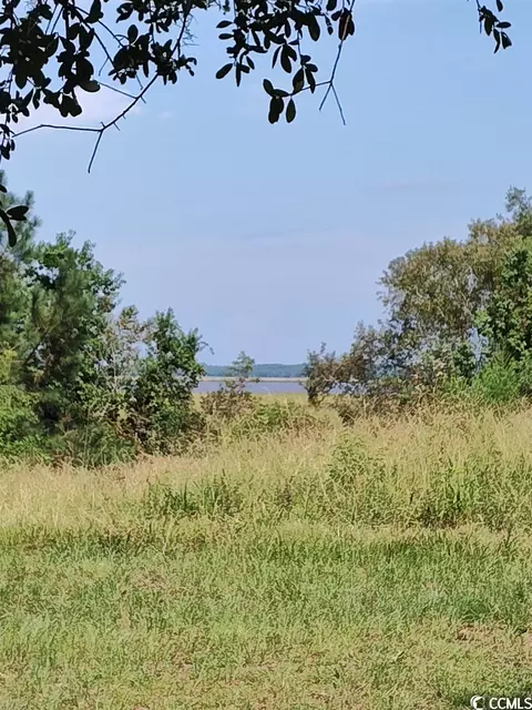325 Lagrange Rd, Georgetown, SC 29440 photo 2