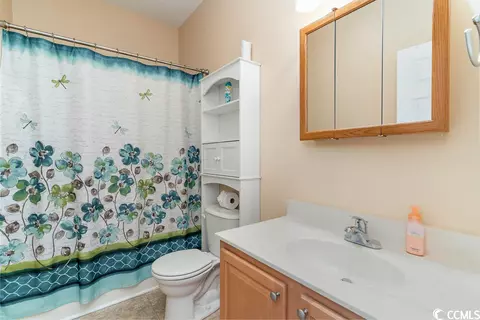 222 Georgia Mae Loop, Conway, SC 29527 photo 18