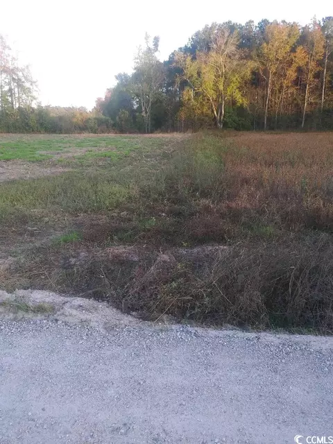 Lot 012 Davis Lane, Mullins, SC 29574