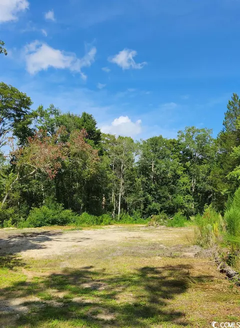 Tbd Renty Tucker Ct., Pawleys Island, SC 29585