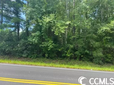 3076 Wise Rd, Conway, SC 29526 photo 16
