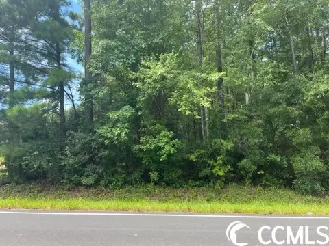3076 Wise Rd, Conway, SC 29526