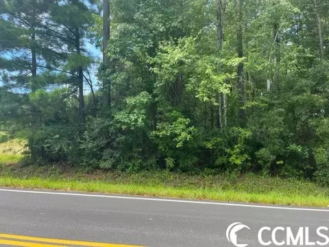 3076 Wise Rd, Conway, SC 29526 photo 2