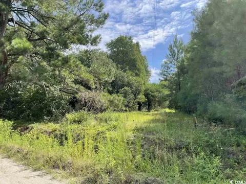 Tbd Olga Ln., Loris, SC 29569