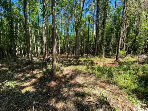 4255 Harrelson Ave, Loris, SC 29569 photo 6