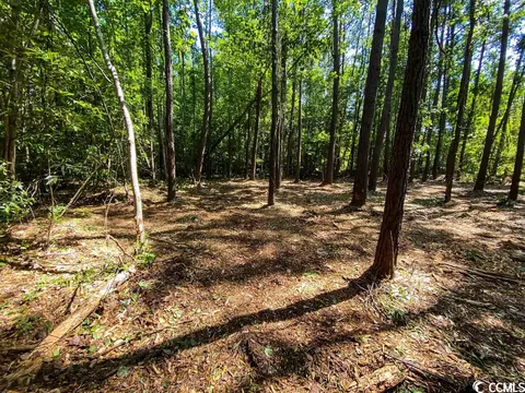 4255 Harrelson Ave, Loris, SC 29569 photo 7