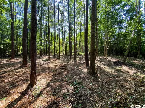 4255 Harrelson Ave, Loris, SC 29569 photo 8